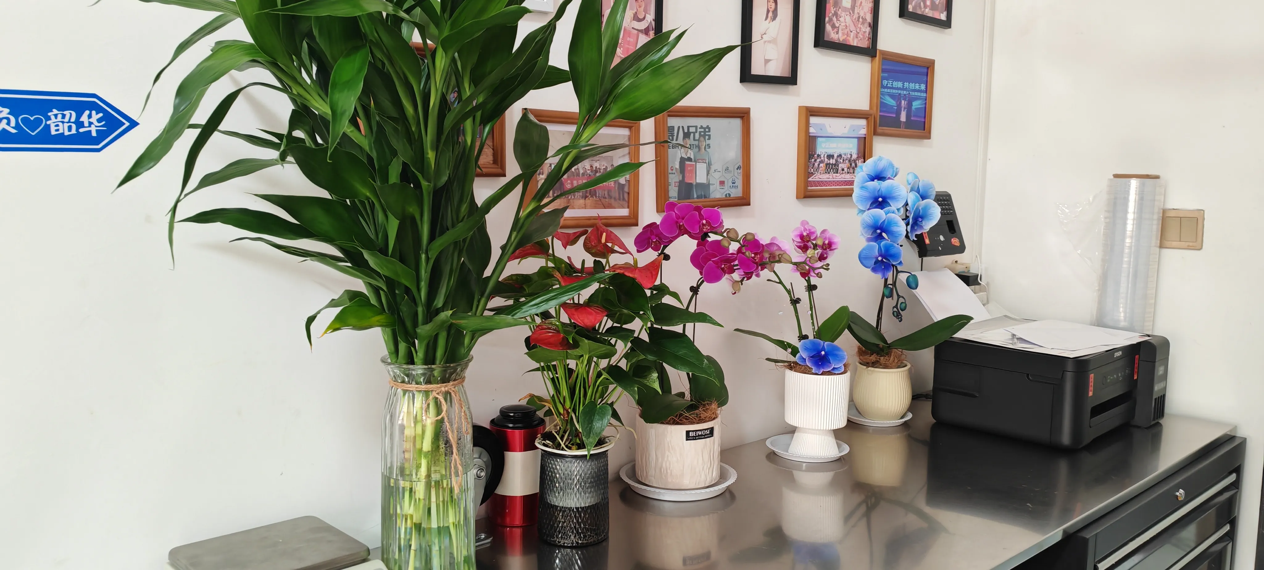 Sveiki atvykę į naujus JOJO Pack draugus!